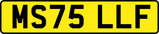 MS75LLF