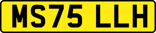 MS75LLH