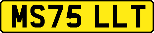 MS75LLT