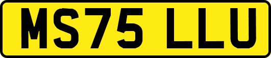 MS75LLU