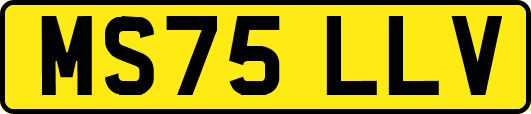 MS75LLV