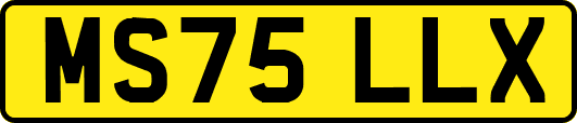 MS75LLX