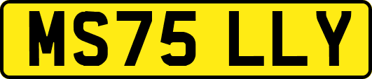 MS75LLY
