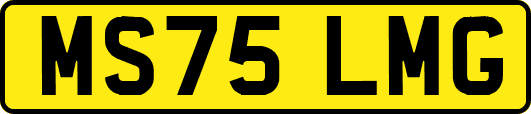 MS75LMG
