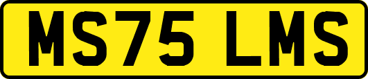 MS75LMS