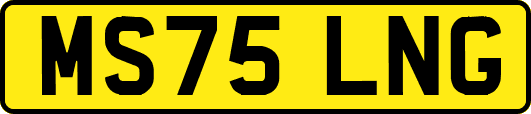 MS75LNG