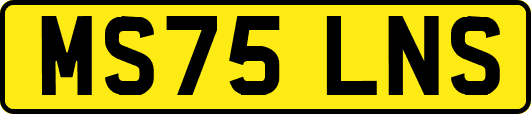 MS75LNS
