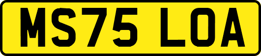 MS75LOA