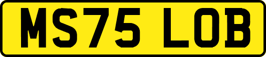 MS75LOB