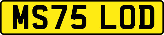 MS75LOD