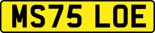 MS75LOE