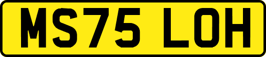 MS75LOH