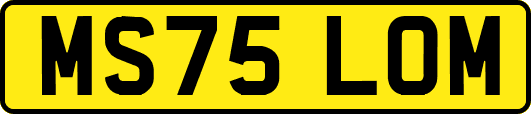 MS75LOM