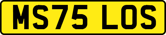 MS75LOS