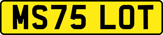 MS75LOT