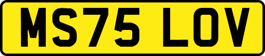 MS75LOV