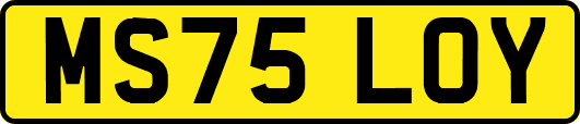 MS75LOY