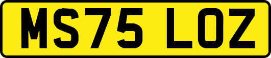MS75LOZ