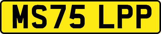 MS75LPP