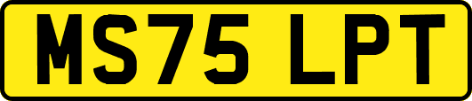 MS75LPT