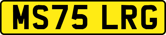 MS75LRG