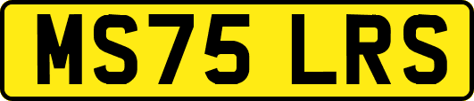 MS75LRS