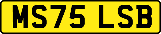 MS75LSB