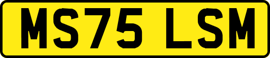 MS75LSM