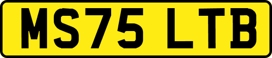 MS75LTB