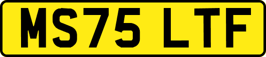 MS75LTF