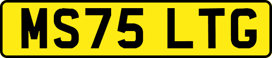 MS75LTG