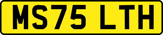 MS75LTH