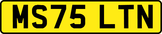 MS75LTN