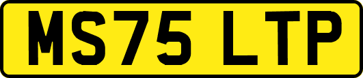 MS75LTP