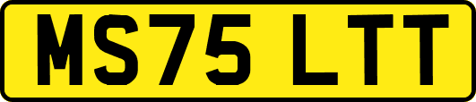 MS75LTT