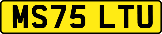 MS75LTU