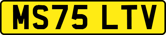 MS75LTV