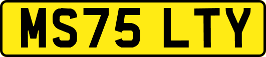 MS75LTY