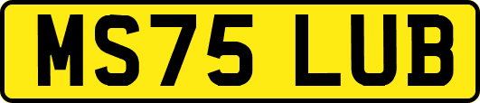 MS75LUB