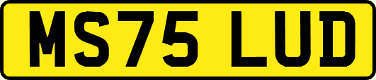 MS75LUD