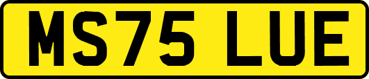 MS75LUE