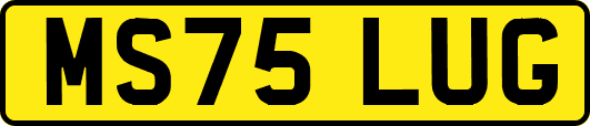 MS75LUG
