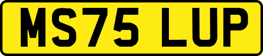 MS75LUP