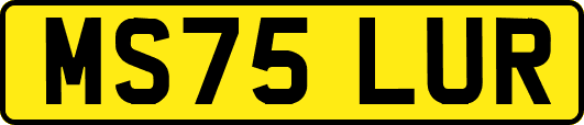 MS75LUR