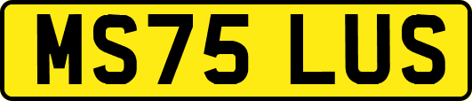 MS75LUS