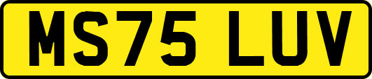 MS75LUV