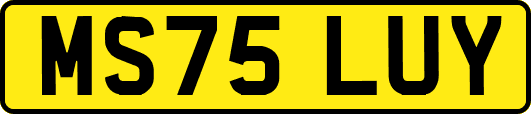 MS75LUY
