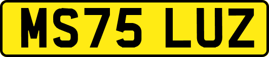 MS75LUZ