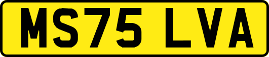 MS75LVA