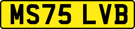 MS75LVB